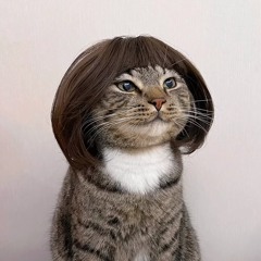 Phai Dau Cuoc Tinh - Quyen Hai Phong