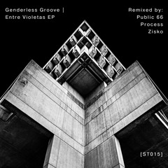 PREMIERE: Genderless Groove - Gracias Luna [Space Travel Records]