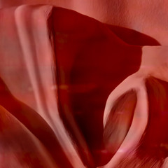 chi mai piano instrument(chi mai)