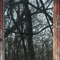 Shadows Within Shadows