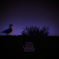 Stay Loose, Goose