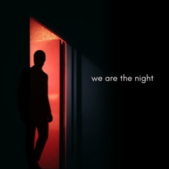 WE ARE THE NIGHT