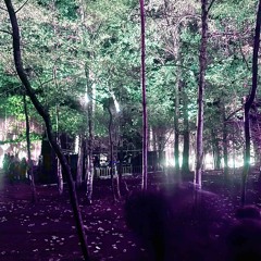 Ode to the Forest Rave