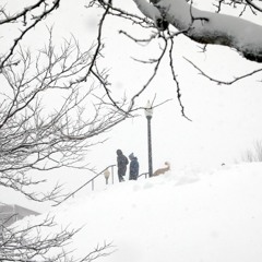 a house we both call home - vict molina and laeland