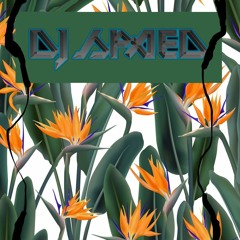 SPAED - BIRD OF PARADISE