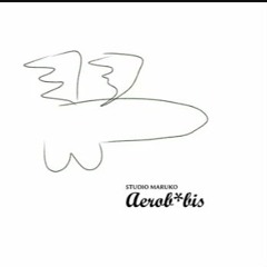 Studio Maruko - Aerobybis