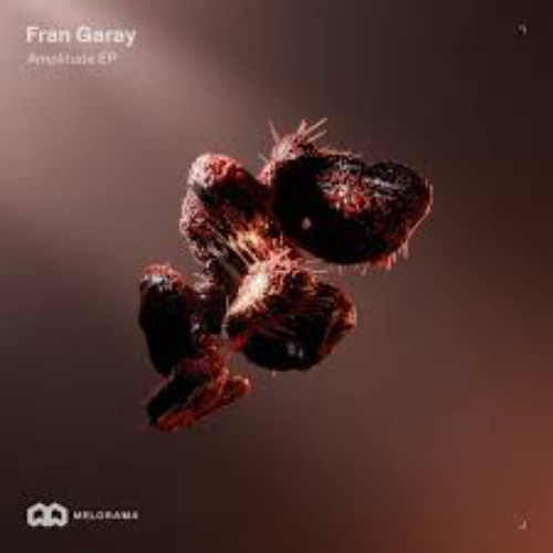 Fran Garay - Modularity