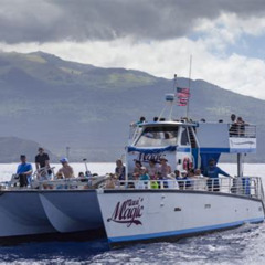 Best Snorkel Bobs Maui Report Prices Reviews