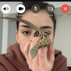 girlfriend (pop song)