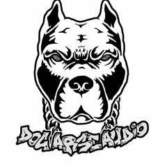 RAGGA JUNGLE! D.A.A Promo Mix
