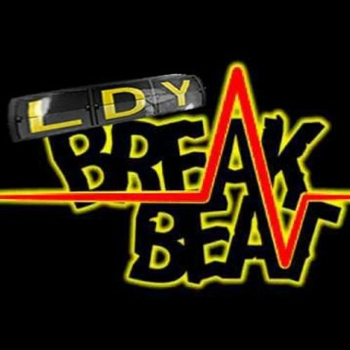 LDY - Chinese Breakbeat 2022