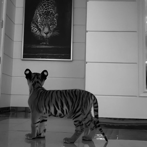 Los Últimos Serán Los Primeros⚡🐉- Special Set 🇻🇪 (Albert David)⚜️☢️