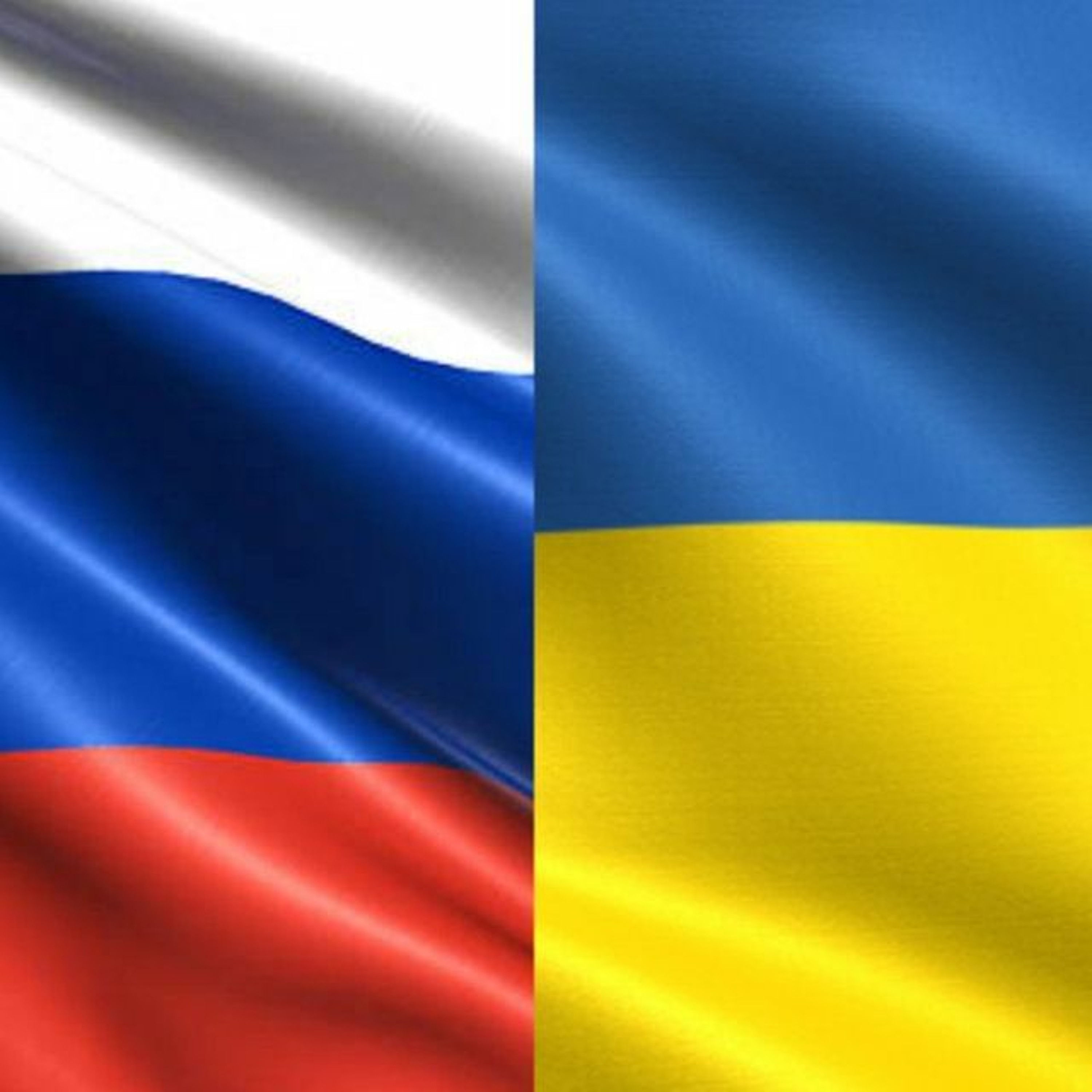 PlessTable: A cooking show not about cooking