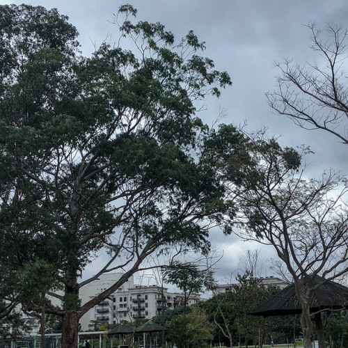 passado (bxnnyshvwtyy)