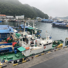 애쉬그레이 - hello mr. my yesterday (guitar cover)