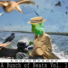 A  Bunch of Beats Vol. 1
