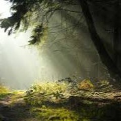 sanctuary