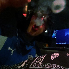 Robin Hood FREESTYLE
