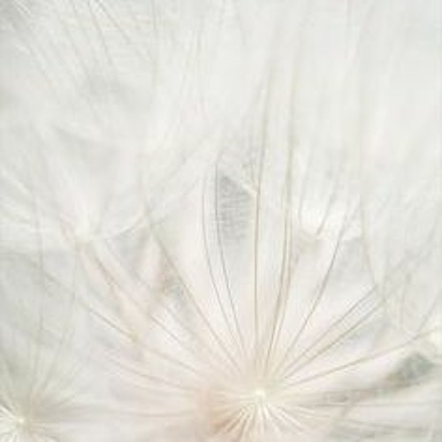 Stream 단색화가 (Demo) by JUNO | Listen online for free on SoundCloud