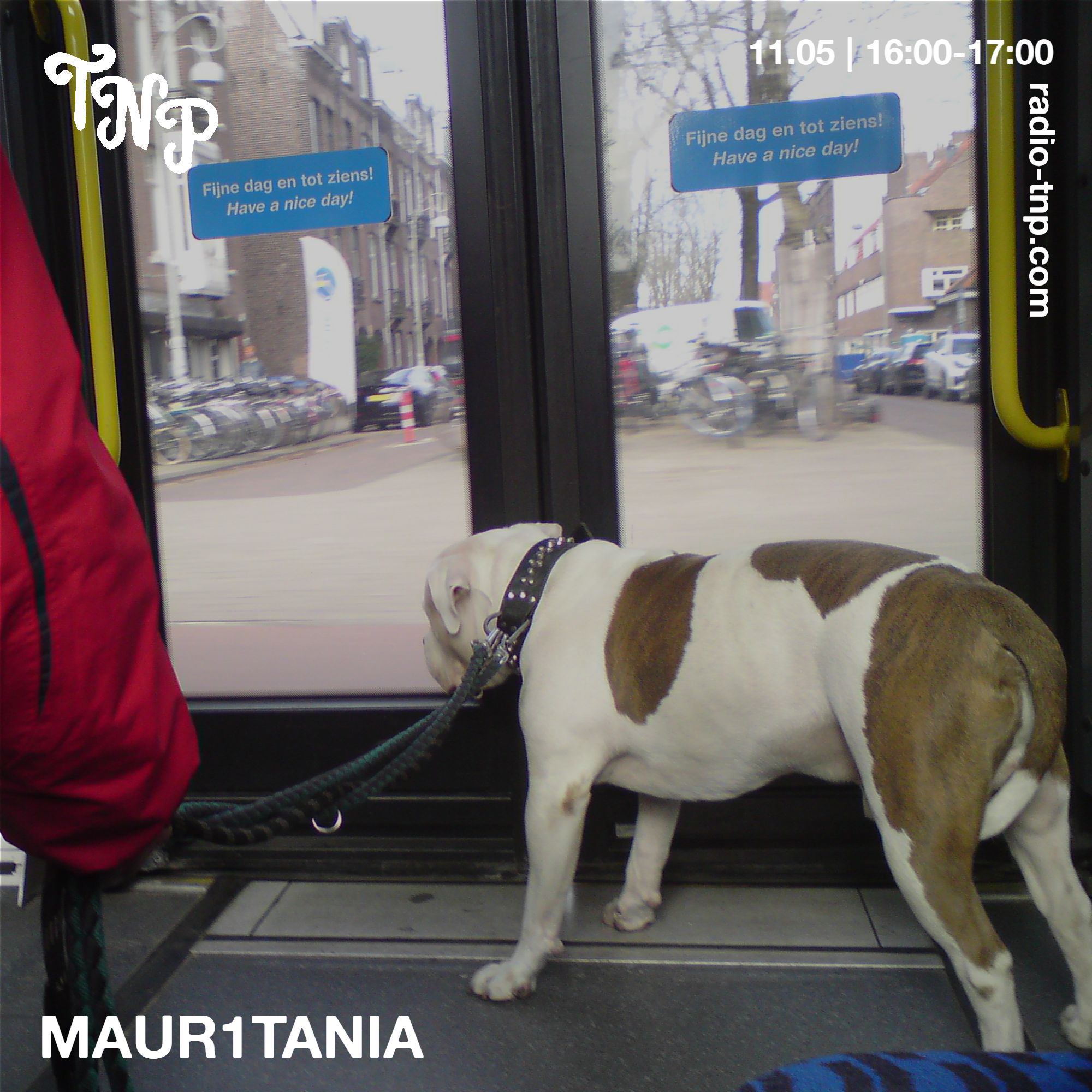 Maur1tania