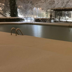 LA PISCINE JANUARY '25