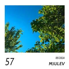 Neuprodukt #57 - Mjulev