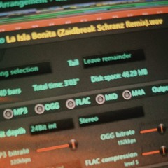 Madonna - La Isla Bonita (Zaidbreak Schranz remix)