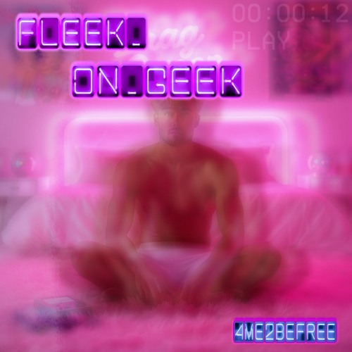 Fleek Geek