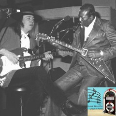 Episode 28 : Albert KING & Stevie Ray VAUGHAN, Rencontre au Sommet du Blues