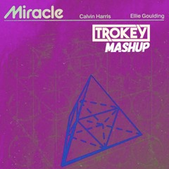 Calvin Harris & Ellie Goulding Vs Belfort - Nobody's Miracle (Trokey Mashup)