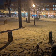 Fantôme2025-01-02\14.37. _ .  (aster)