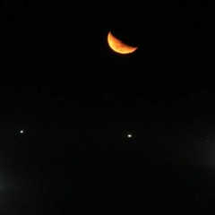 meorkat & PlayLoud - How Do You Know It's Love?