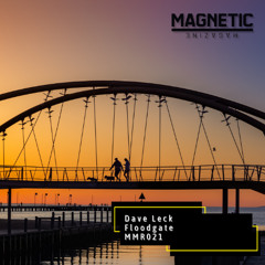 Dave Leck - Floodgate [Magnetic Magazine Recordings]
