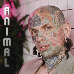 Gillian FX - Animal ( TABH LAB PROD )