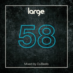 Large Music Radio 58 mixed by DuBeats