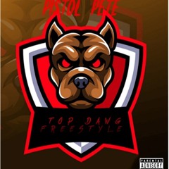 Top Dawg Freestyle