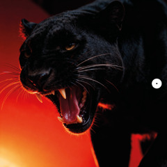 SVT406 - DONT BLINK – NATURAL SELECTION [Snippet]