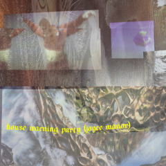 house warning party (joyce manor cover)