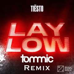 Tiësto - Lay Low (Tommic Extended Remix)