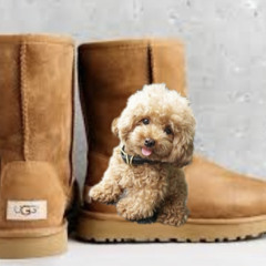 UGGS (Prod.Flamee)