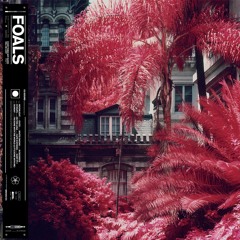 Foals - In Degrees - Lupa’s Unofficial Remix