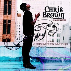 Chris Brown - Fallen Angel (DJ OiO "I know what you want" Edit)