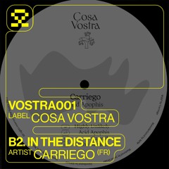 PREMIERE: B2. Carriego - In The Distance (VOSTRA001)