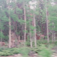 Cool People With Cool Songs