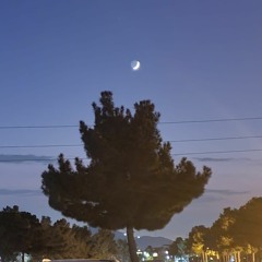 Bülbül - Bəri Bax (original gramophone record).mp3