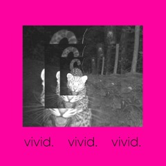 vivid prod desxw