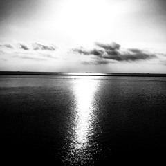 Coexist sunset 08/11/2024