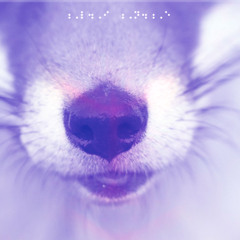 Blitz {130bpm 1a G#m}