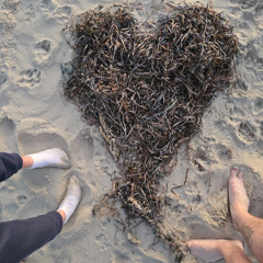 Shenanigan Gork - Frompy Qwak