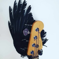 seeking producer & opinions